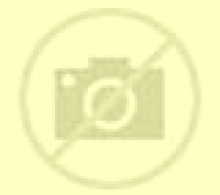 Abril 3 Camarones escort