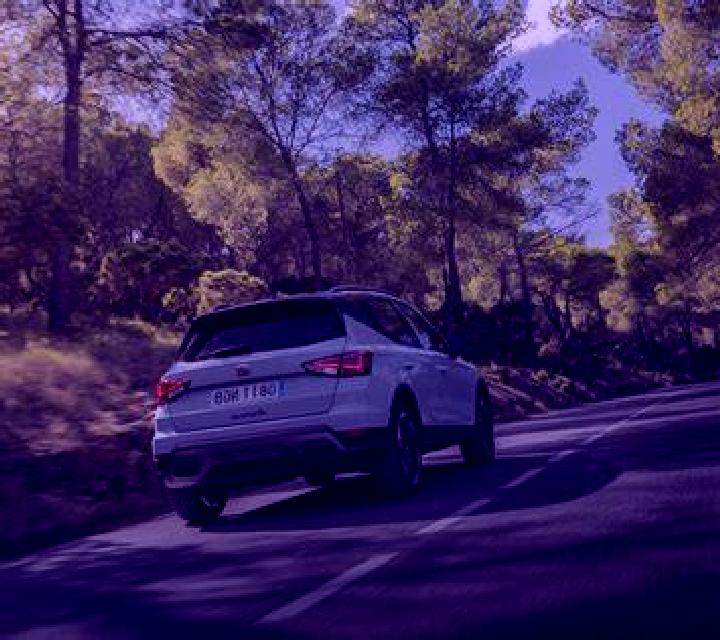 Andrea 3 Coihueco escort