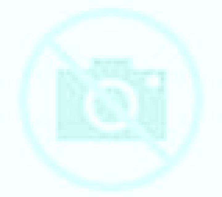 Antonella 3 Nogales escort