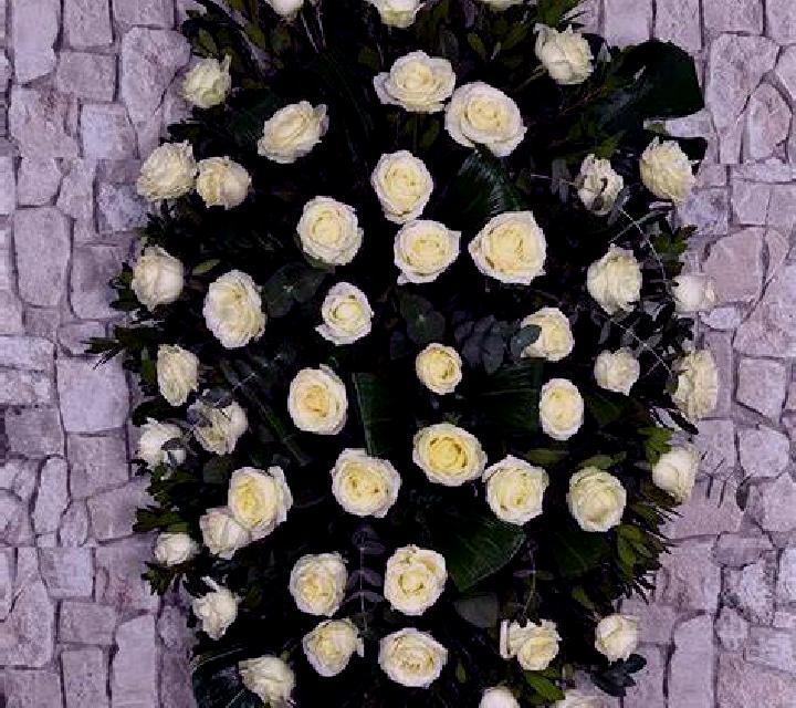 Brisa 3 Pitrufquen escort