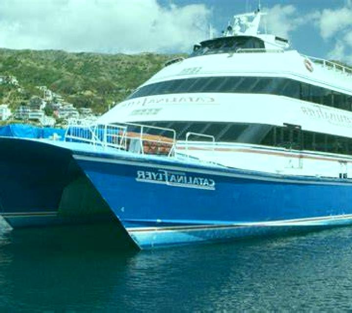 Catalina Canela escort