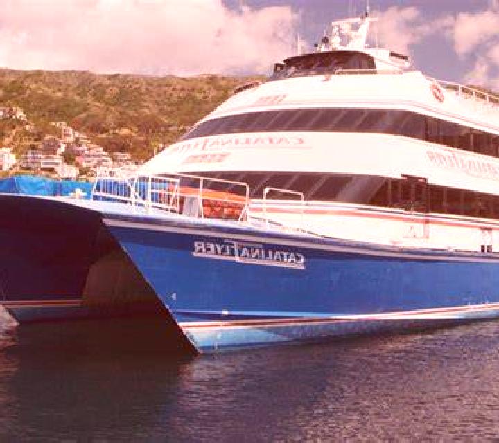 Catalina Perquenco escort