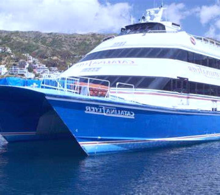 Catalina Peumo escort