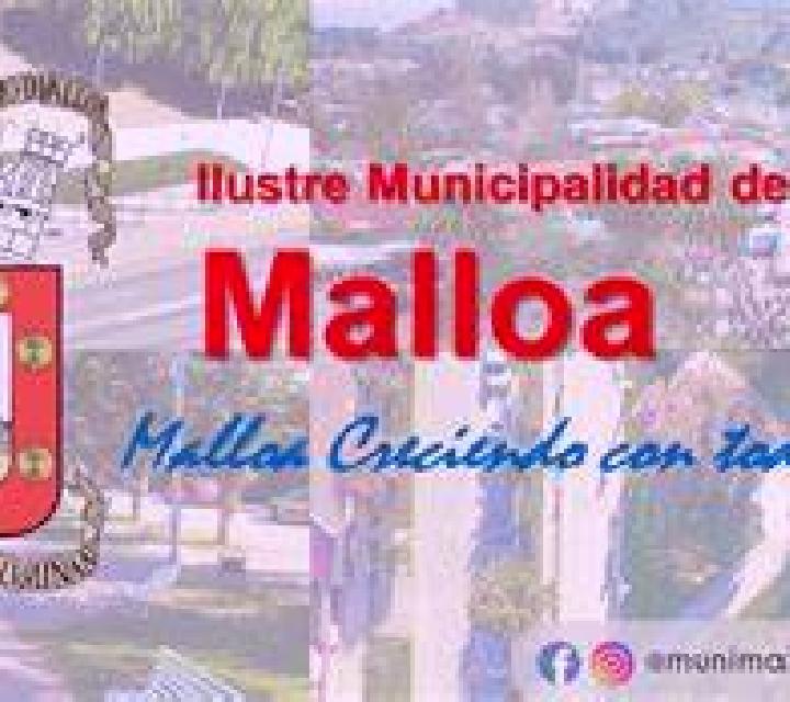 Cloe Rinconada de Malloa escort