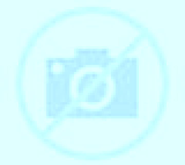 Cony 2 Pinto escort