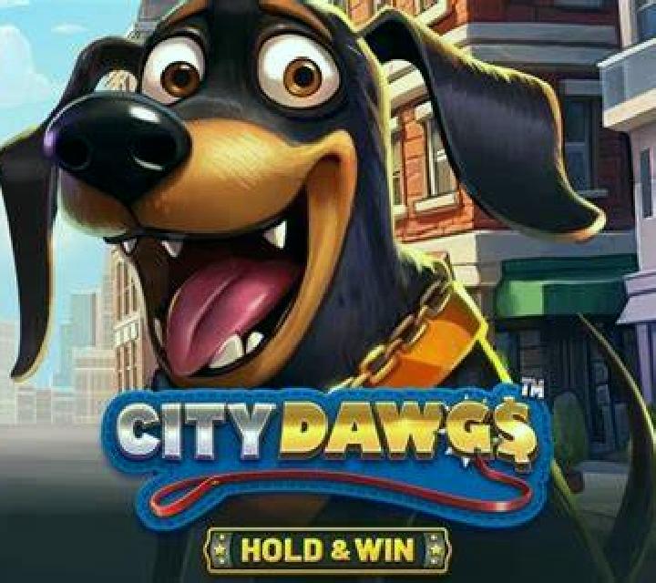 Cony Carahue escort