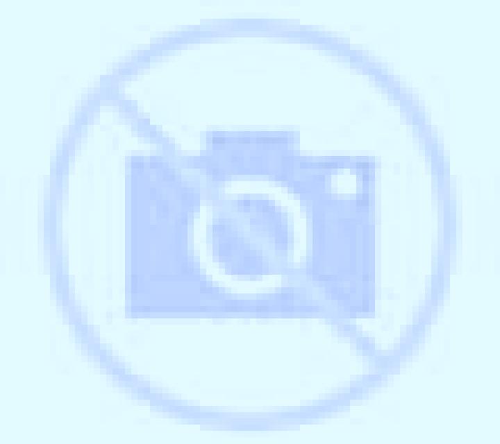 Emilia 3 Punta Arenas escort