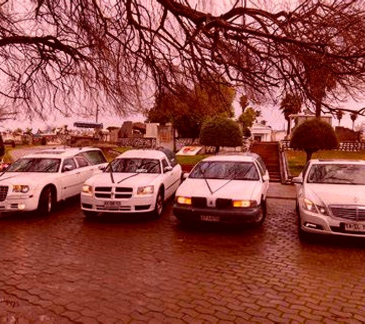 Estrella 3 Pemuco escort