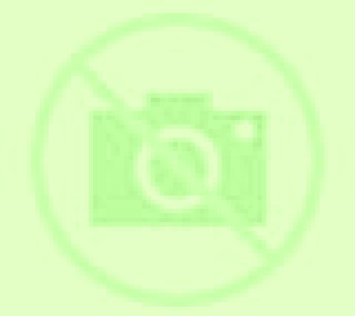 Fernanda 3 Vicuna escort