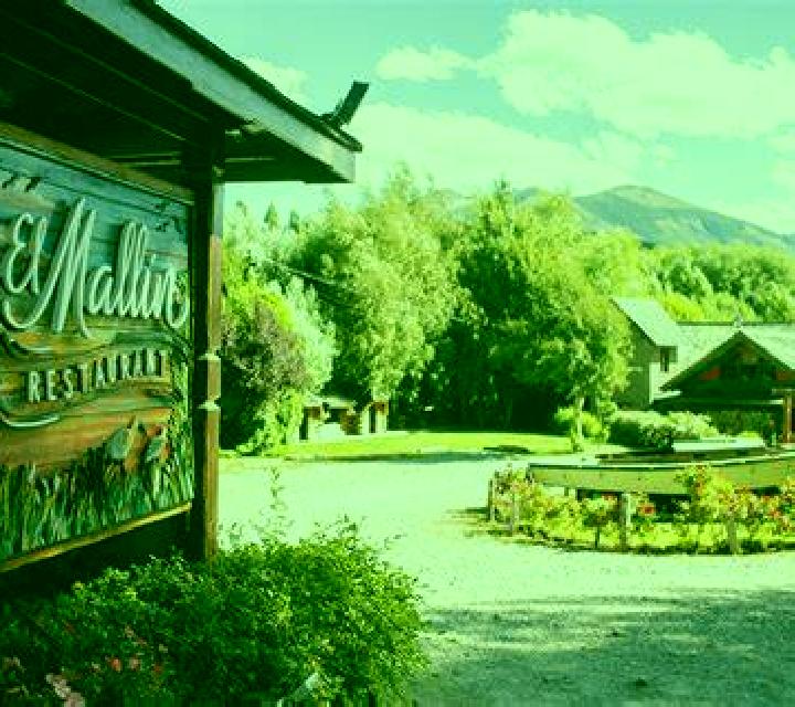Ignacia Maullin escort