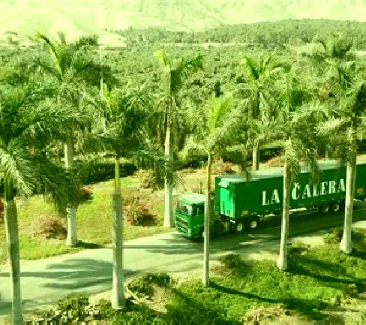 Isabela Hacienda La Calera escort