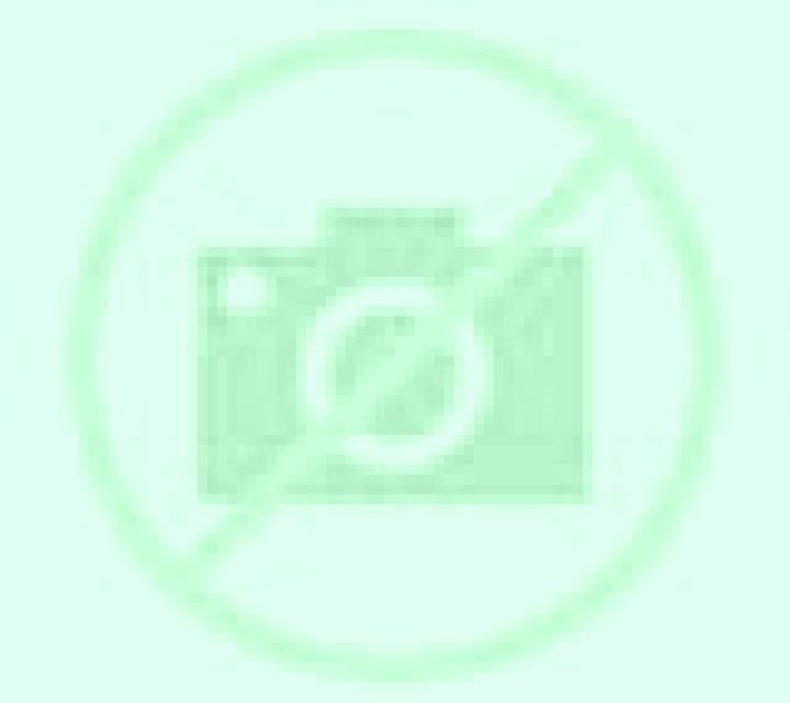 Isidora 2 Cunco escort