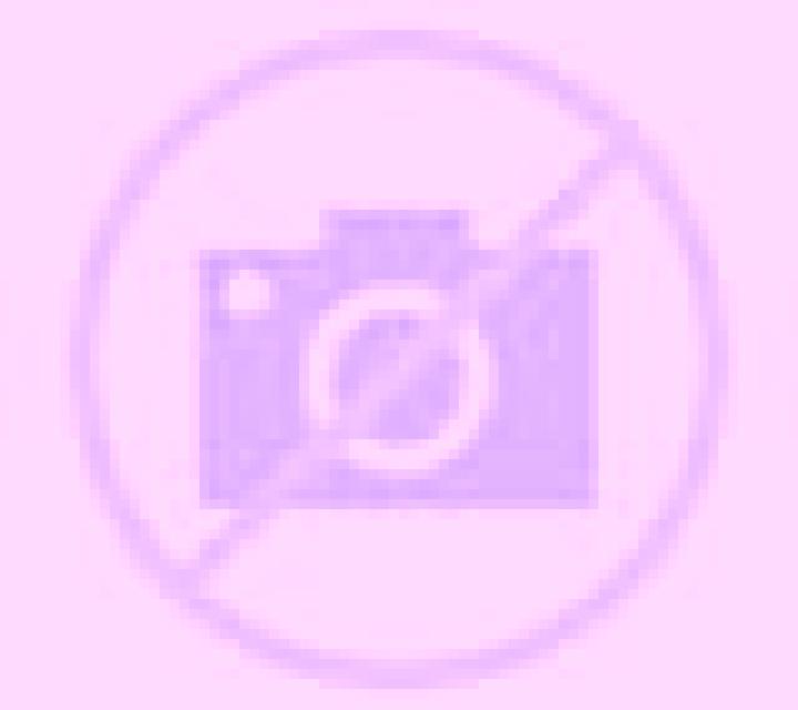 Karis 3 Porvenir escort