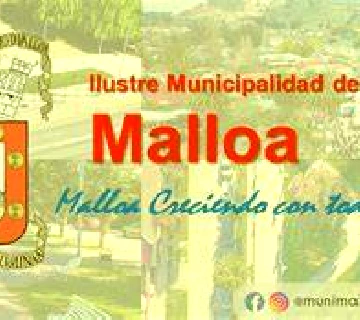 Lola Rinconada de Malloa escort