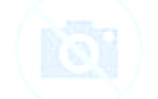 Martina Nueva Tolten escort