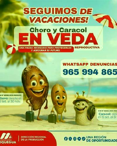 Nadia 3 Curacautin escort
