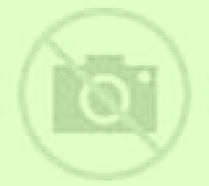 Nadia San Francisco de Mostazal escort