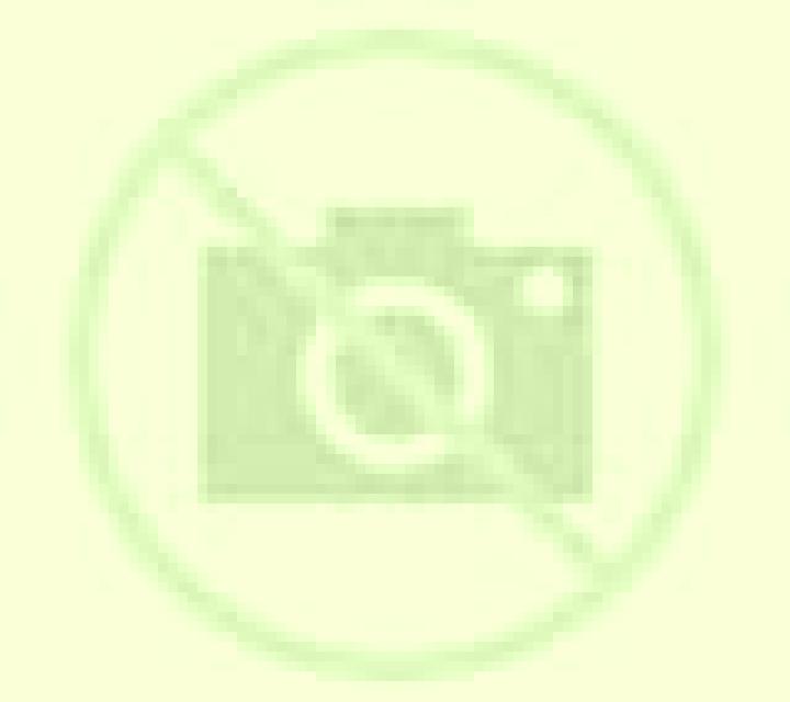 Olivia 3 Parral escort