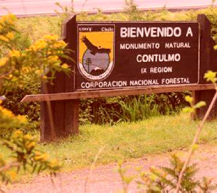 Regina 3 Contulmo escort