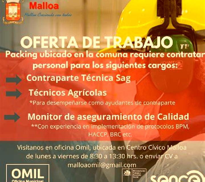 Renata Rinconada de Malloa escort