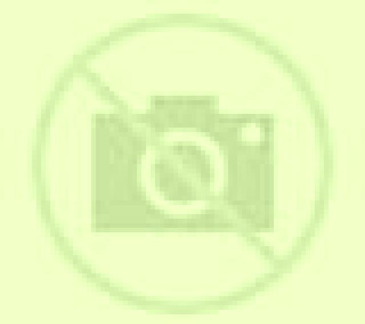 Salma 2 Matilla escort