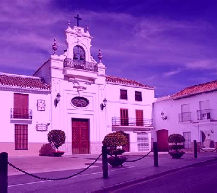 Sofía Colina escort