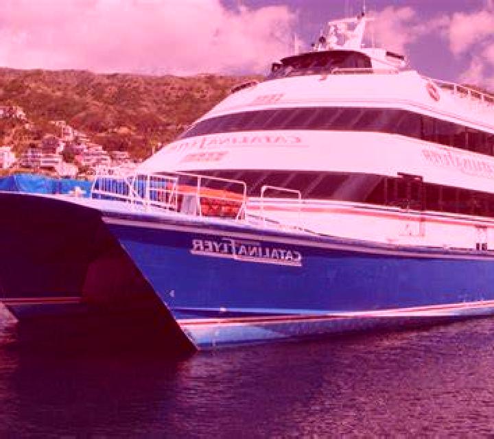 Zara 2 Penco escort