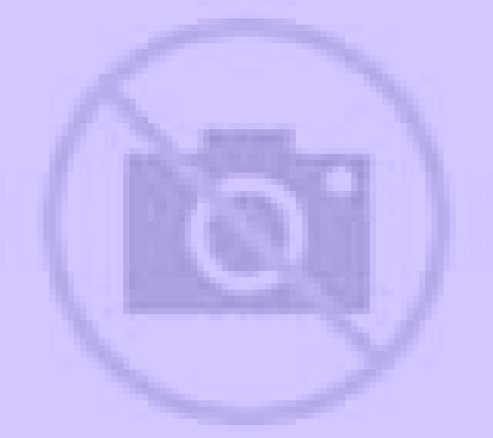 Zara Antofagasta escort